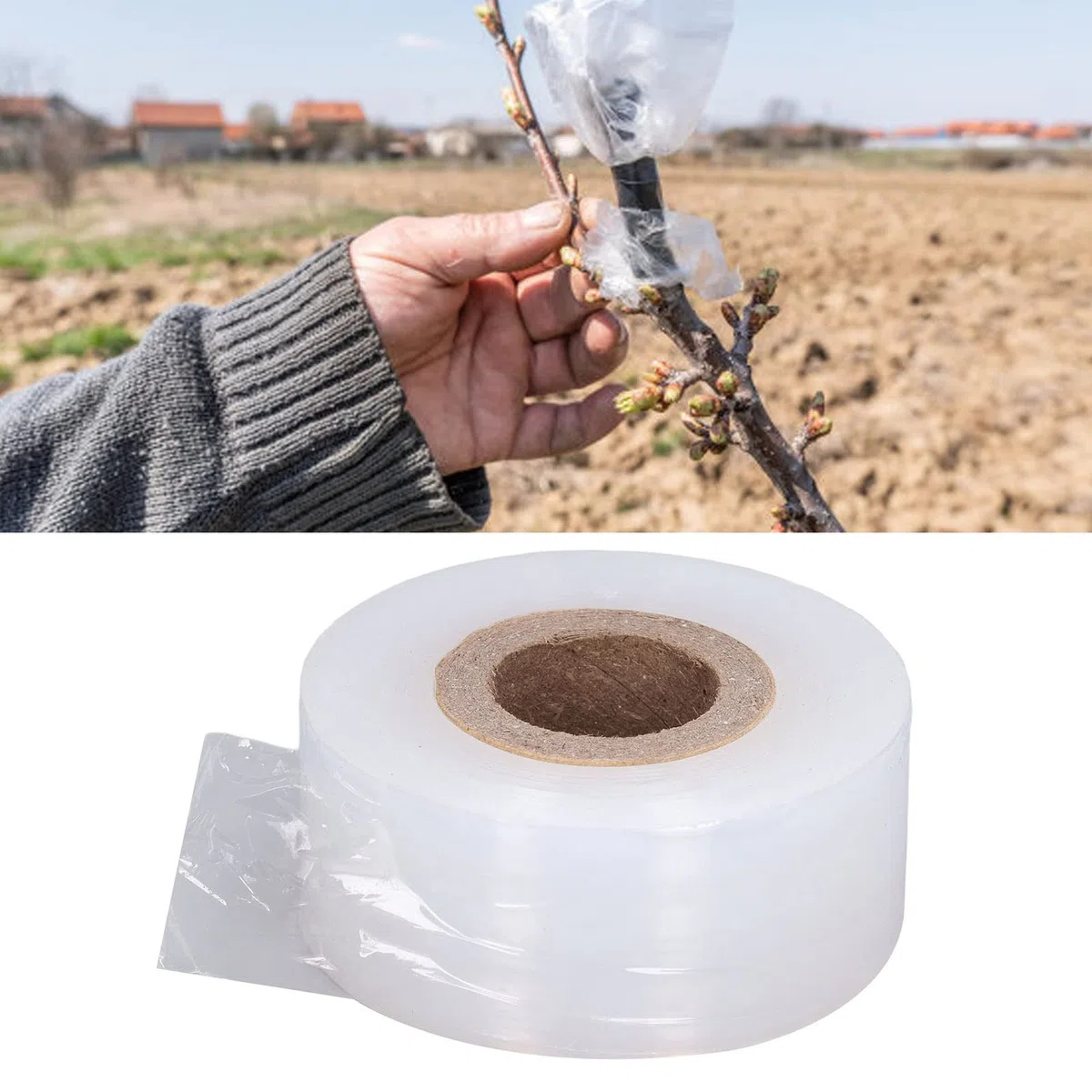 Parafilm, Nastro per Innesto Vivaio Nastro Sigillante per Capsula di Petri M 29mm Larghezza Attrezzi Manuali Giardino Innesto PVC Estensibile Resiliente