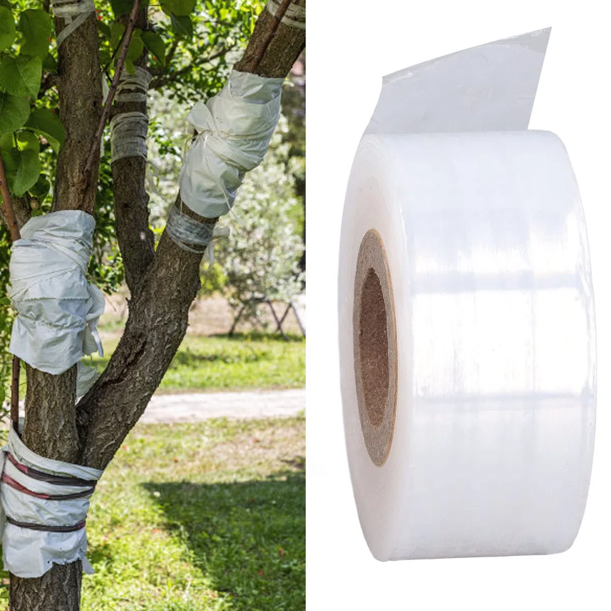 Parafilm, Nastro per Innesto Vivaio Nastro Sigillante per Capsula di Petri M 29mm Larghezza Attrezzi Manuali Giardino Innesto PVC Estensibile Resiliente
