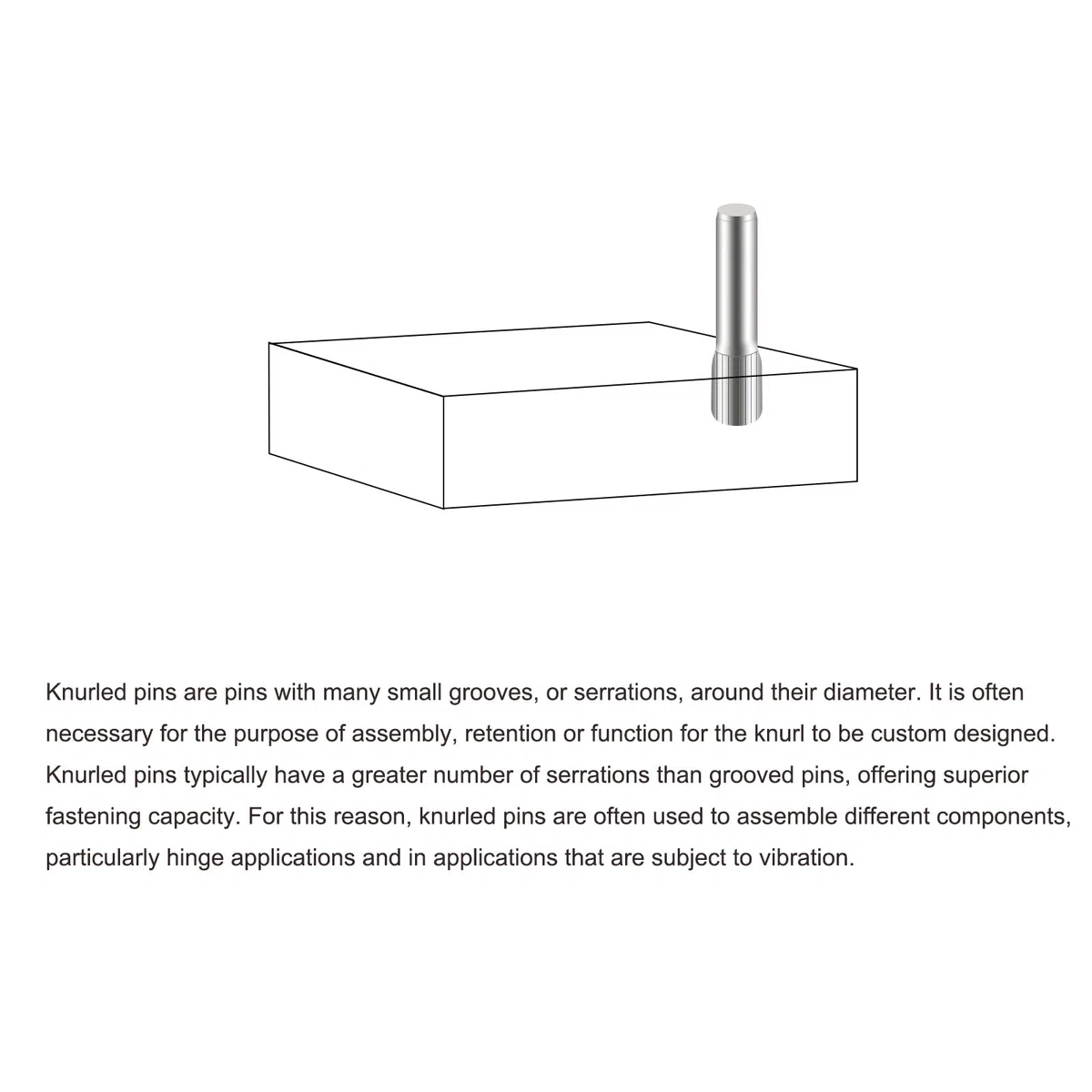 QUARKZMAN 3,1x14mm 304 Spine in Acciaio Inossidabile, 40pz Spina a Testa Scanalata con Estremità Piana, Spina Cilindrica Posizionamento Supporto Letto Scaffale Elementi Fissaggio Ripiani