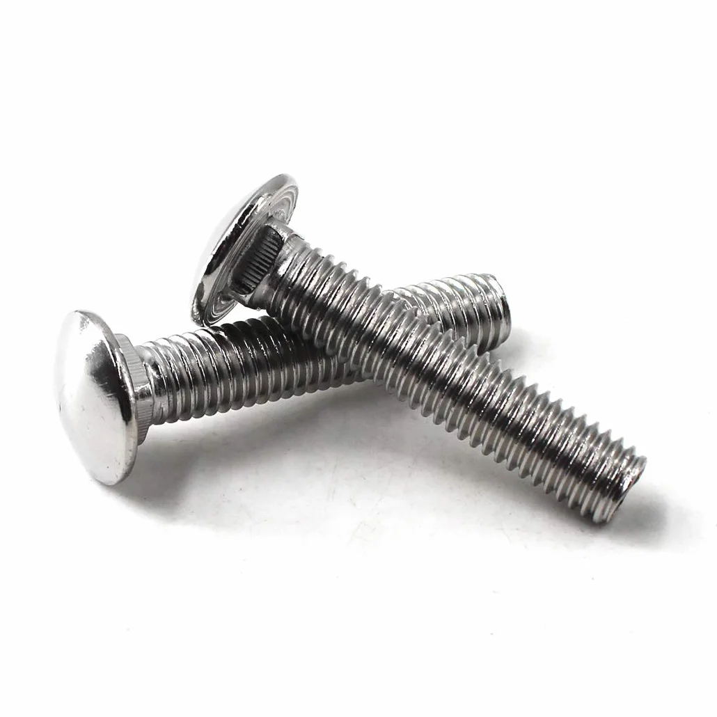 Bulloni a testa tonda M6 x 30 in acciaio inox 304 (confezione da 30)