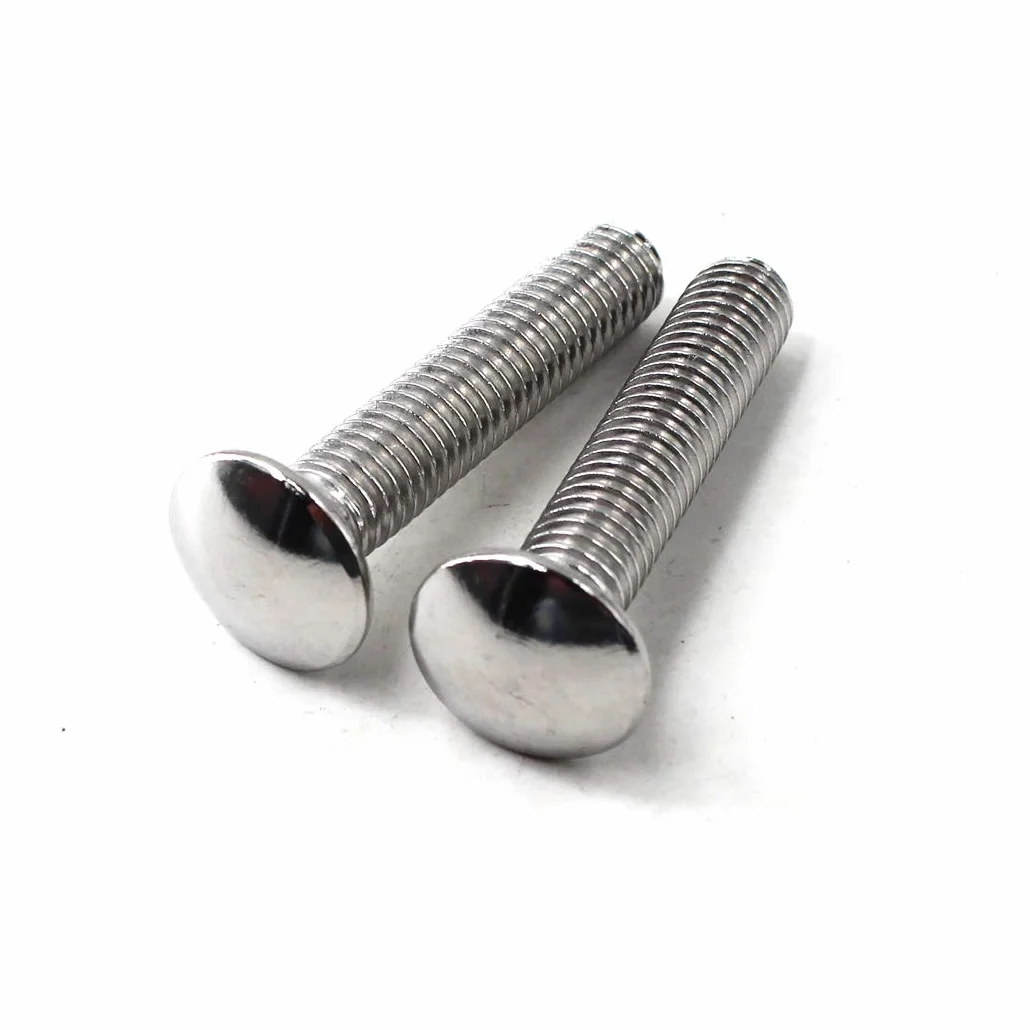 Bulloni a testa tonda M6 x 30 in acciaio inox 304 (confezione da 30)