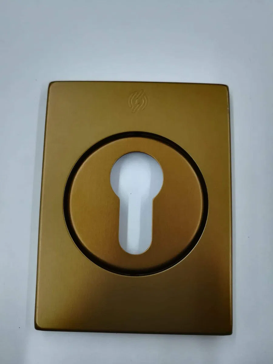 BOCCHETTA ROSETTA QUADRA PER PORTA PORTONE BLINDATO, PIASTRINA PER CILINDRO EUROPEO FINITURA ALLUMINIO BRONZATO F4 82X62 COMPLETA DI VITI DI FISSAGGIO SECUREMME