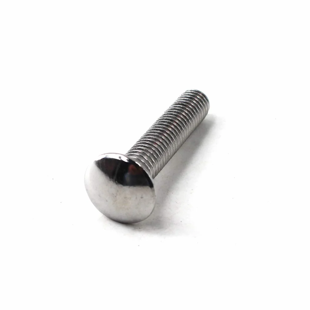 Bulloni a testa tonda M6 x 30 in acciaio inox 304 (confezione da 30)